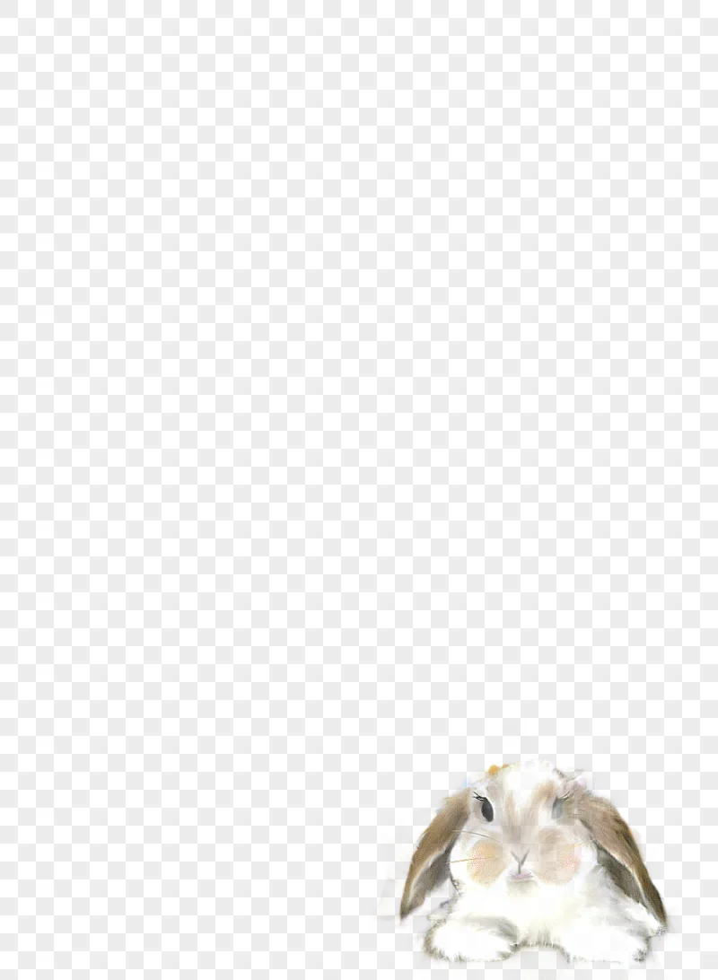 png clipart easter bunny frame graphy frame template design pattern border frame