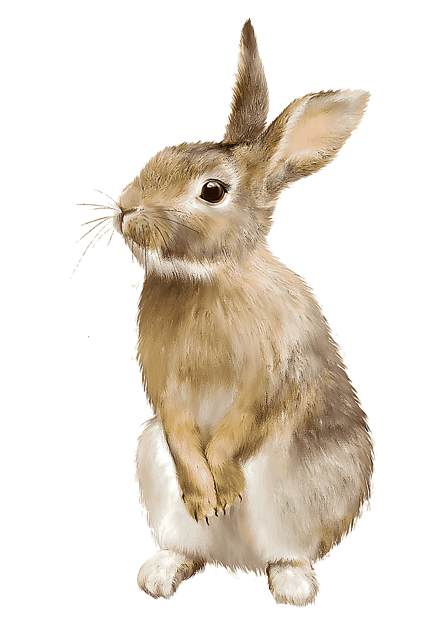 png clipart easter bunny hare domestic rabbit bunny mammal animals