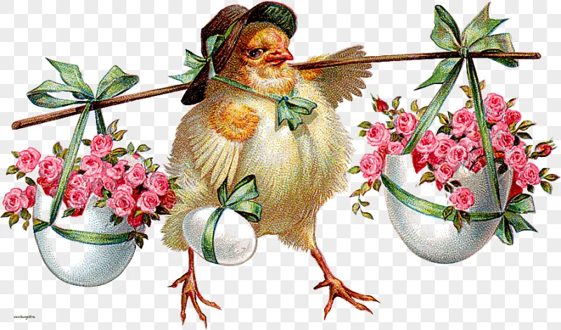 png clipart easter bunny wedding invitation paper easter postcard easter holidays easter e