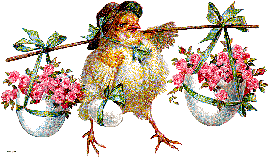 png clipart easter bunny wedding invitation paper easter postcard easter holidays easter e