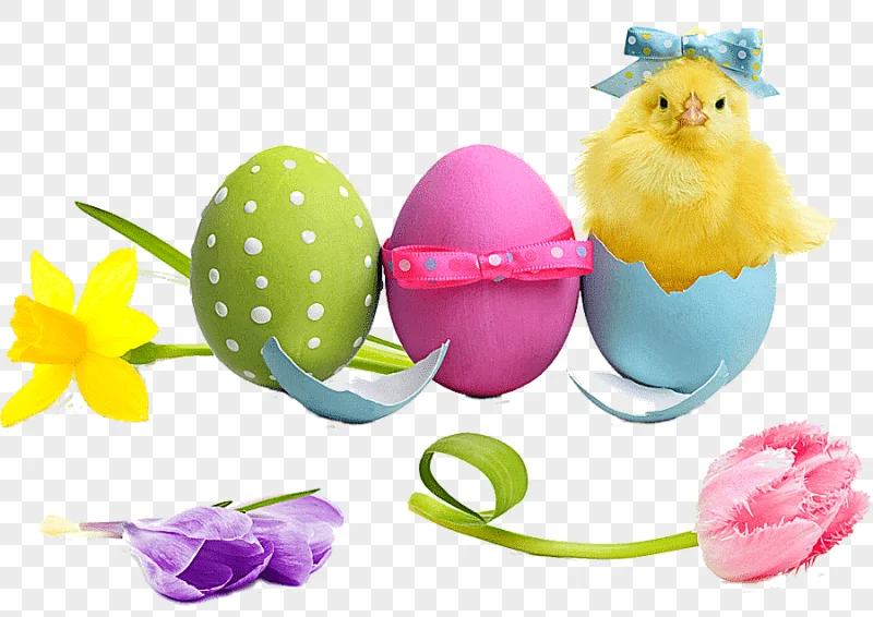 png clipart easter egg easter cake egg decorating tulip easter holidays computer