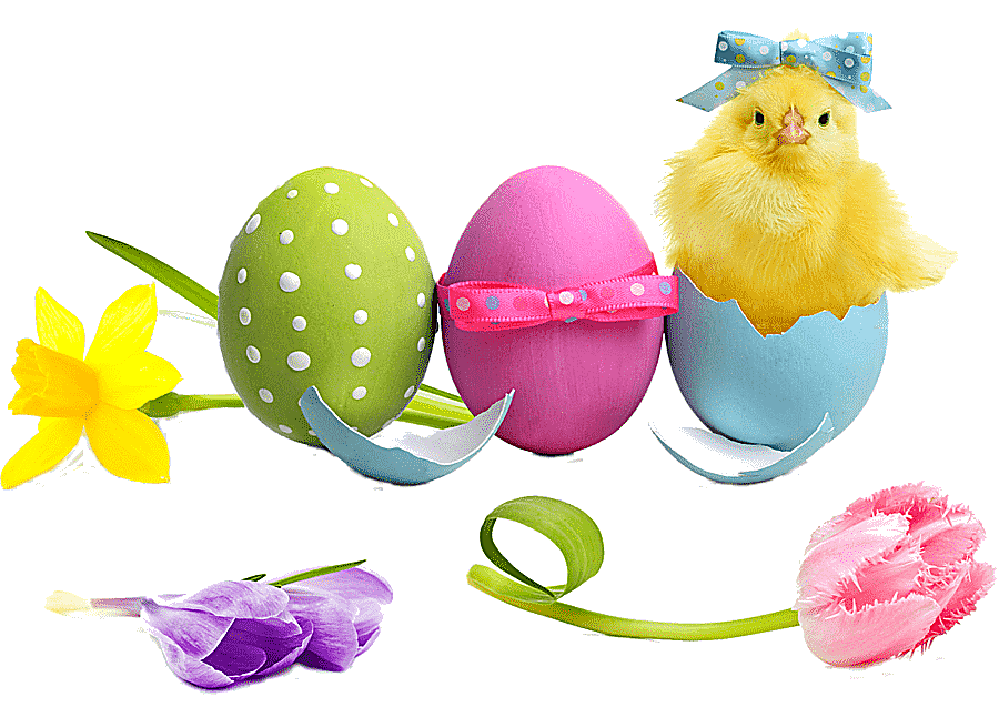 png clipart easter egg easter cake egg decorating tulip easter holidays computer