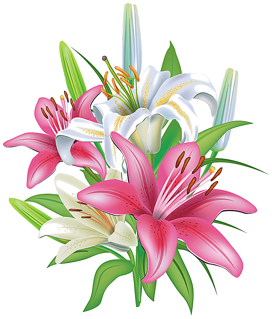 png clipart easter lily tiger lily flower lily flower arranging lilium