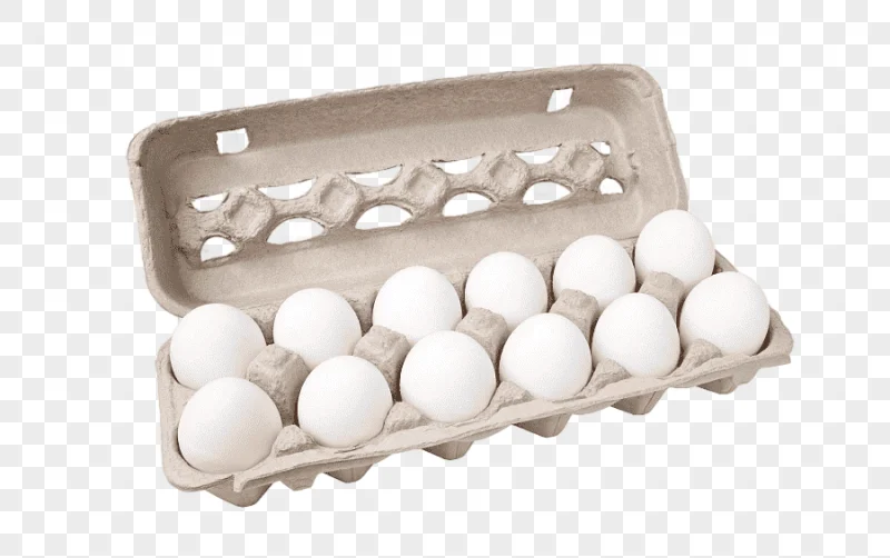 png clipart egg carton graphy chicken egg chicken carton