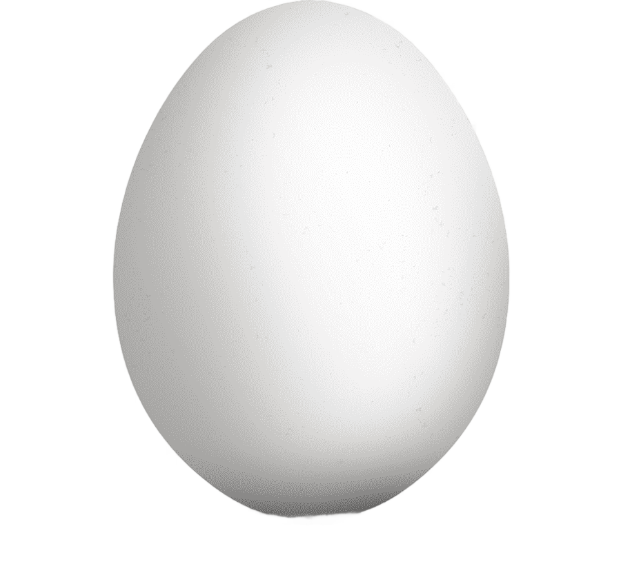 png clipart egg egg inc karad chicken egg white eggs food chicken