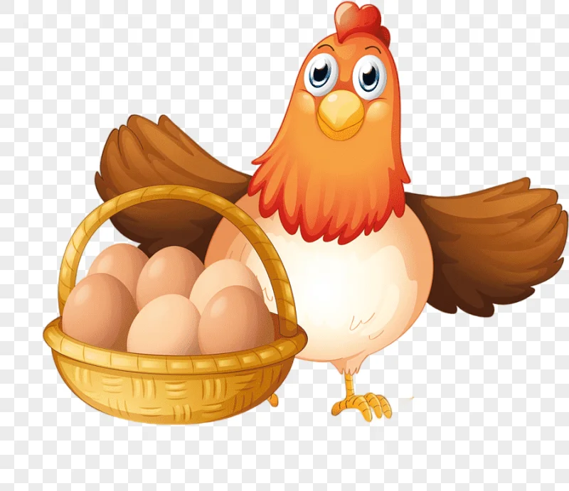 png clipart egg in the basket chicken egg food galliformes