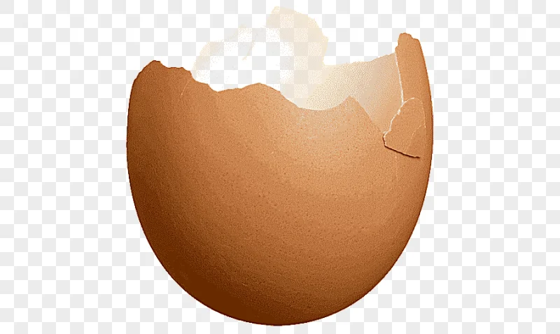 png clipart eggshell food easter egg typographical error eggshell child food