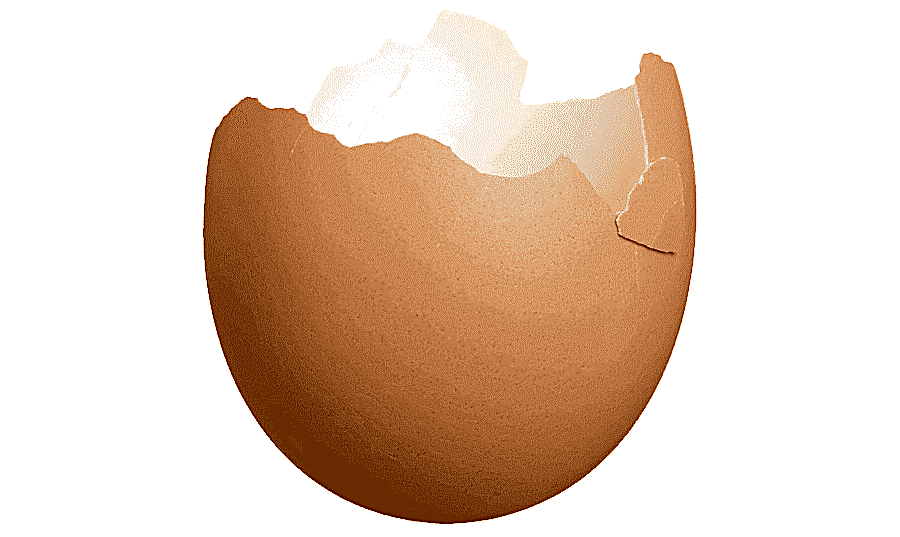 png clipart eggshell food easter egg typographical error eggshell child food