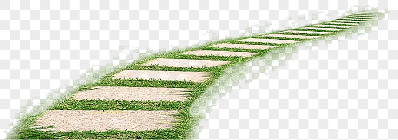 png clipart euclidean fresh grass road angle leave the material