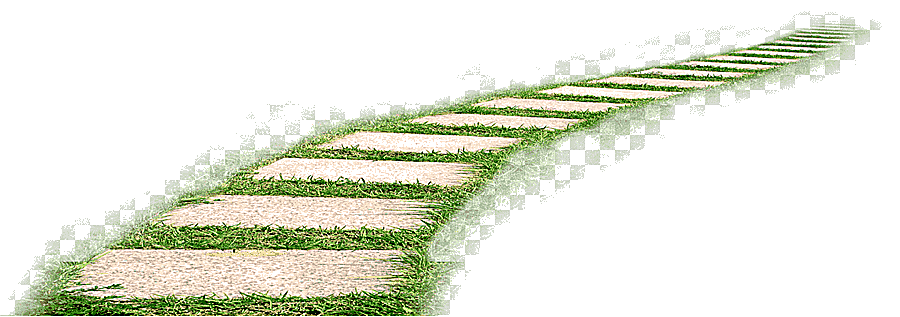 png clipart euclidean fresh grass road angle leave the material