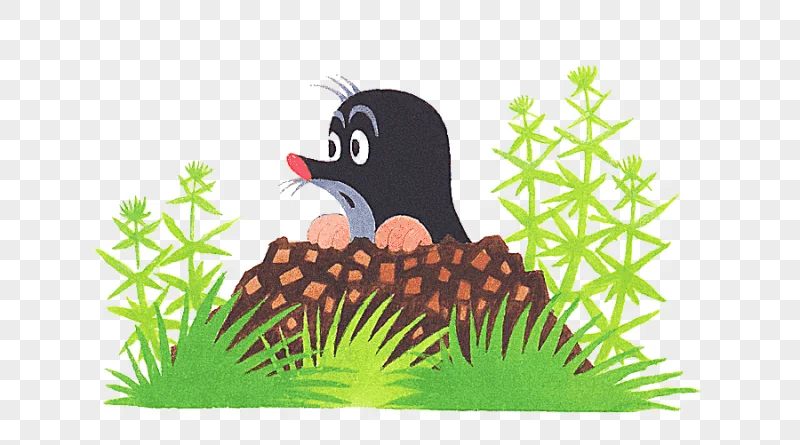 png clipart european mole drawing samsung grass fauna