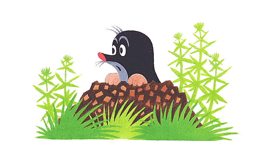png clipart european mole drawing samsung grass fauna