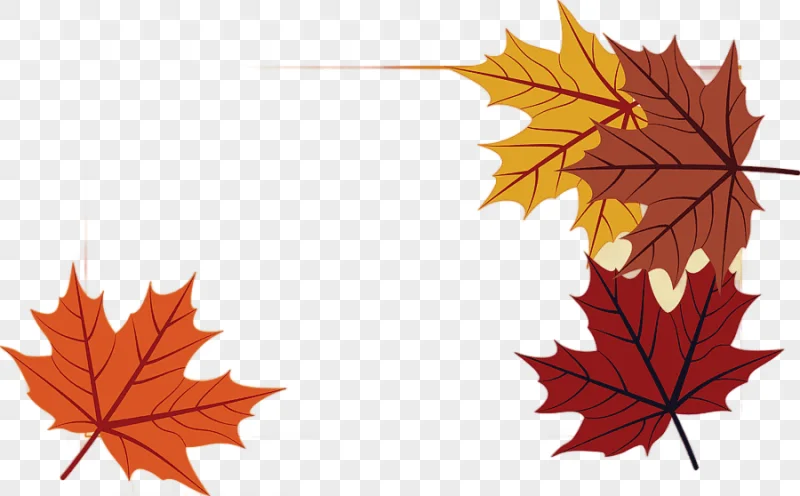 png clipart fall leaves autumn foliage frame copy space background 4k wallpaper background image