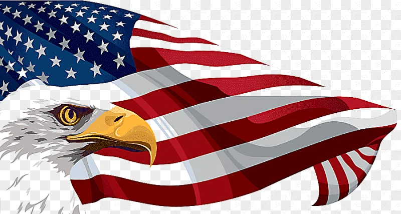 png clipart flag of the united states american flag and eagle u s flag flag presentation