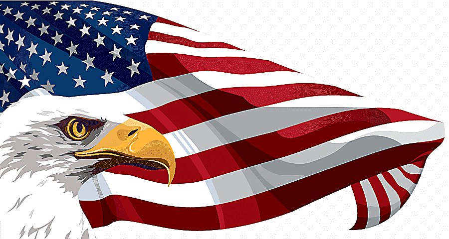png clipart flag of the united states american flag and eagle u s flag flag presentation