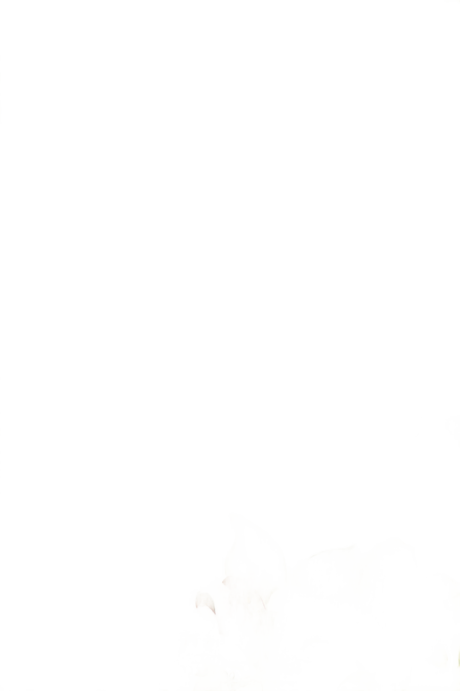 png clipart floral frame illustration frame mood frame s border frame