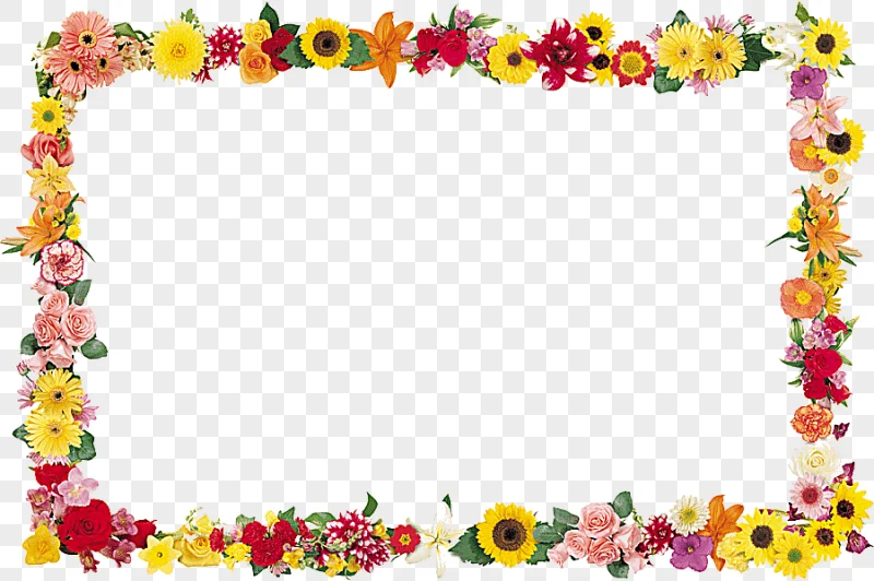 png clipart flower frames drawing flower arranging hair accessory