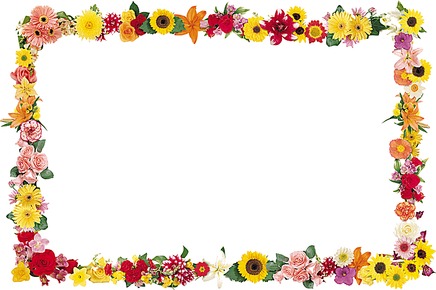 png clipart flower frames drawing flower arranging hair accessory