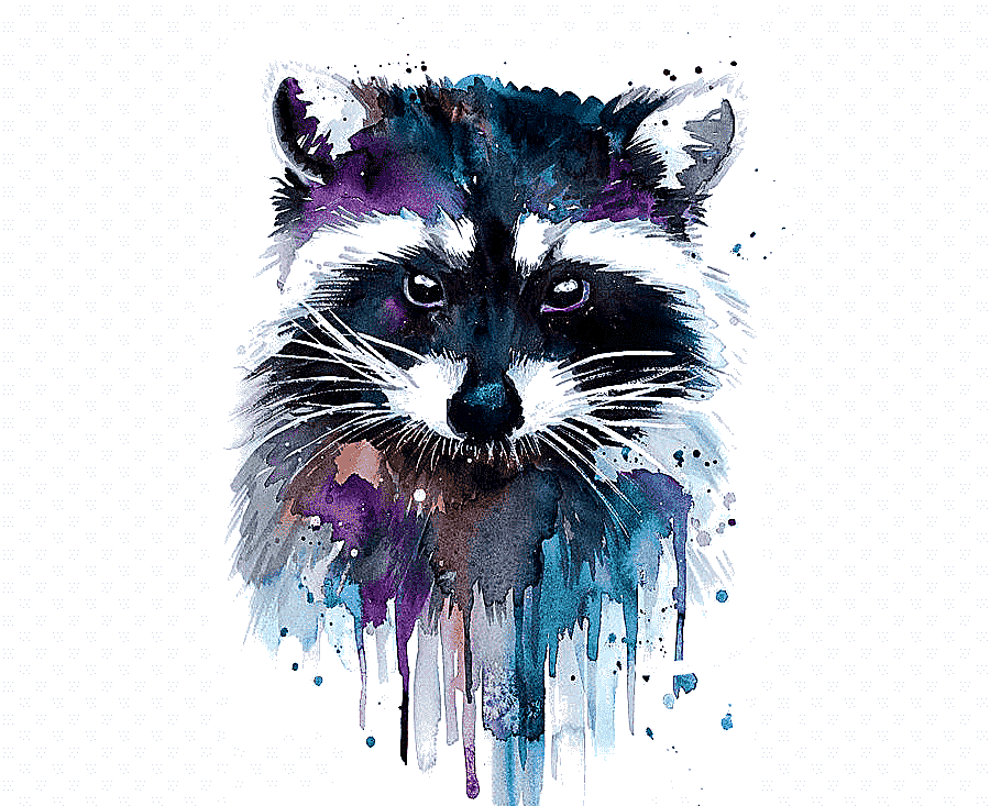 png clipart fox painting watercolor painting artist raccoon raccoon purple animals