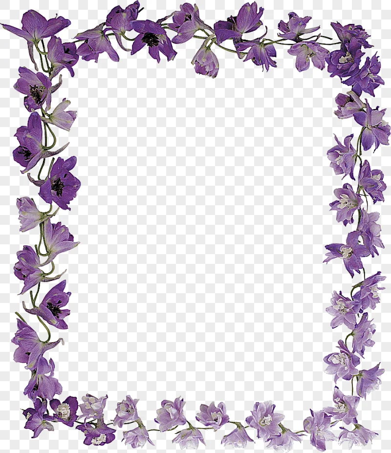 png clipart frames flower violet purple pearls photography color
