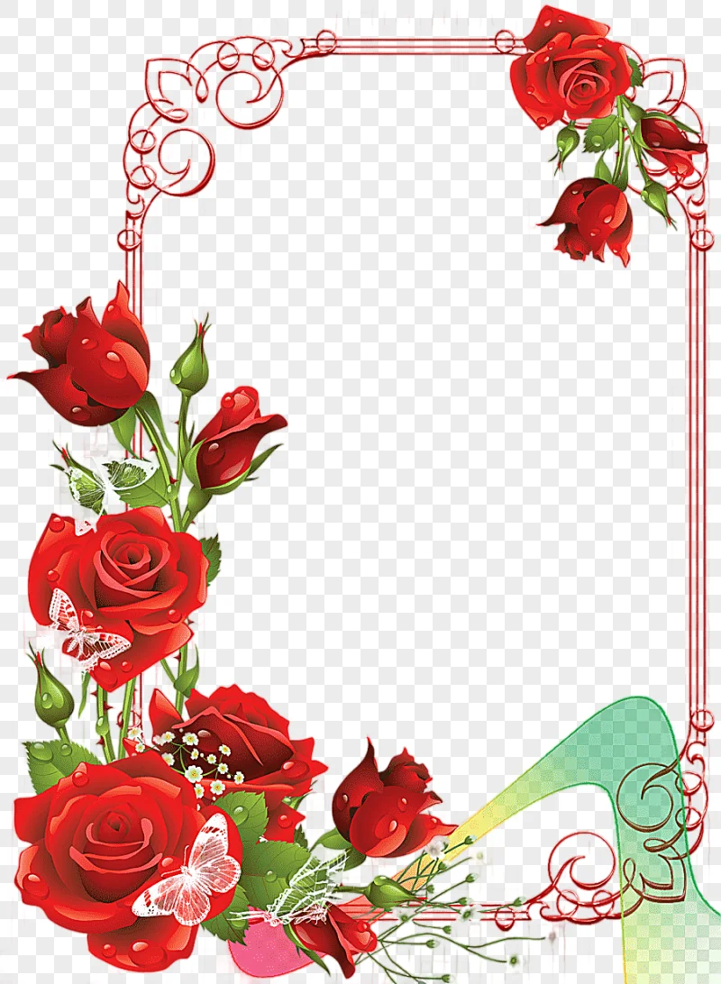 png clipart frames rose rose love flower arranging