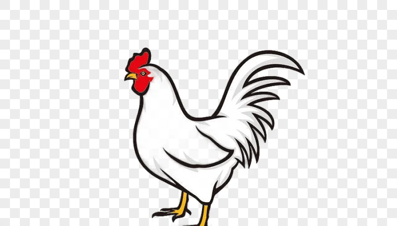 png clipart fried chicken rooster chicken meat chicken white painted