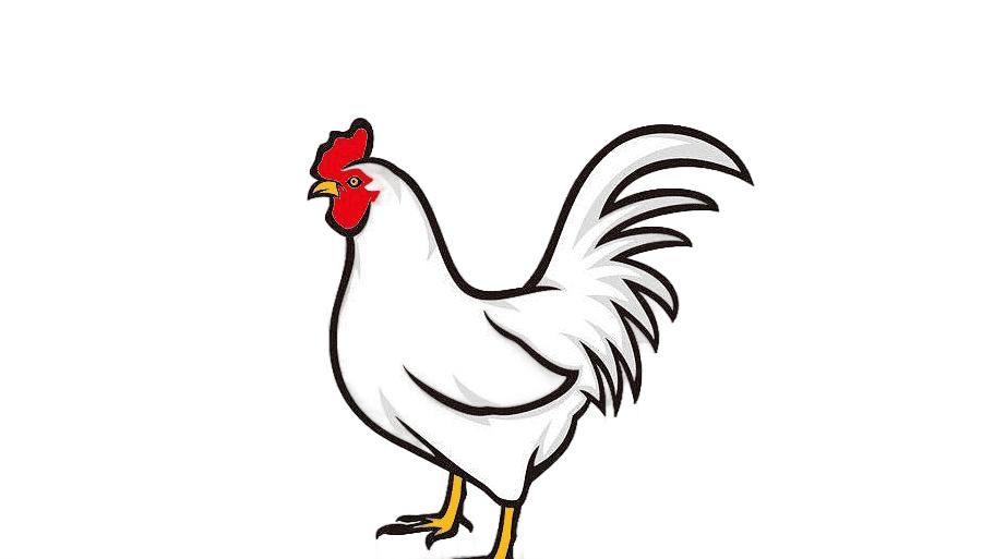 png clipart fried chicken rooster chicken meat chicken white painted