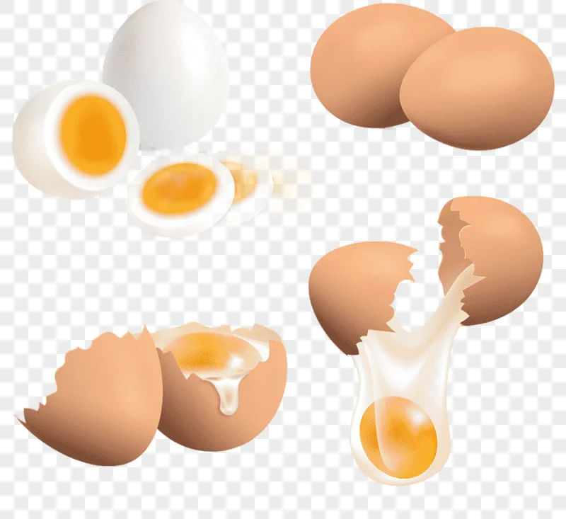 png clipart fried egg chicken boiled egg chicken food animals