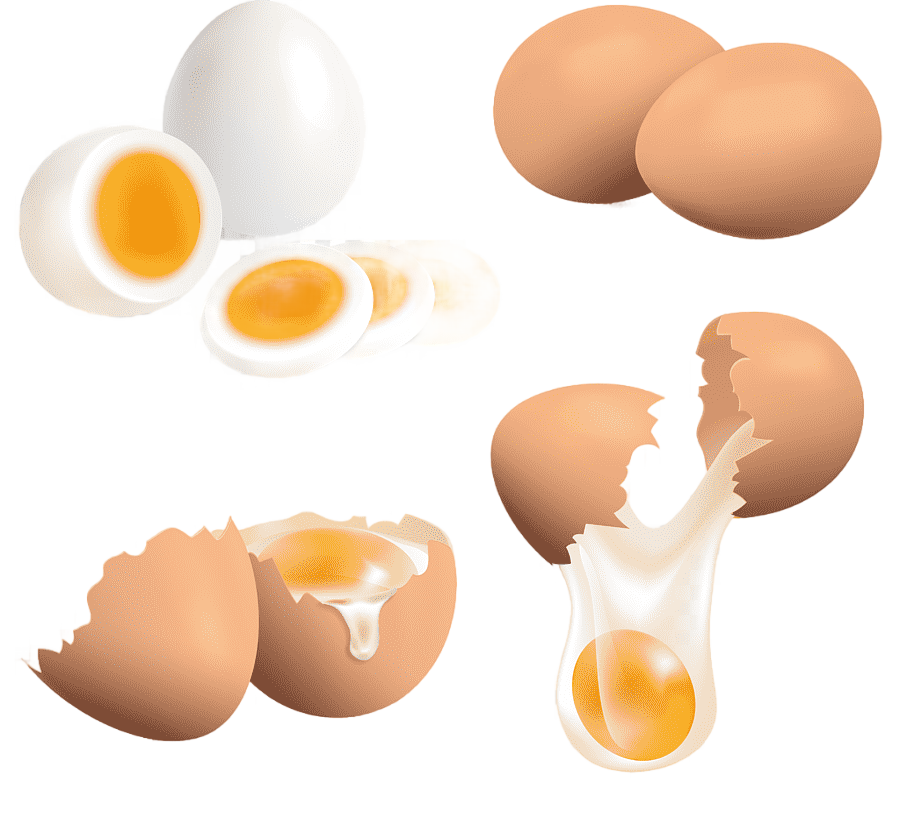 png clipart fried egg chicken boiled egg chicken food animals