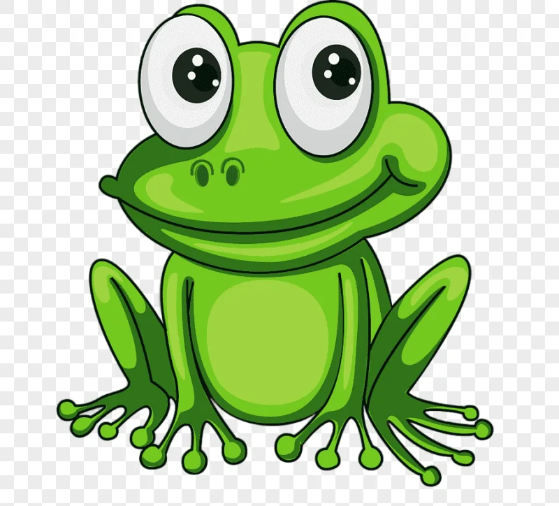 png clipart frog cartoon frog animals photography