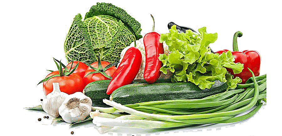 png clipart fruit sketch beautifully fresh vegetables painted image fruit pictures