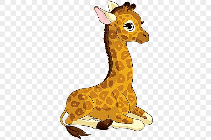 png clipart giraffe cartoon drawing animated giraffe s mammal giraffe