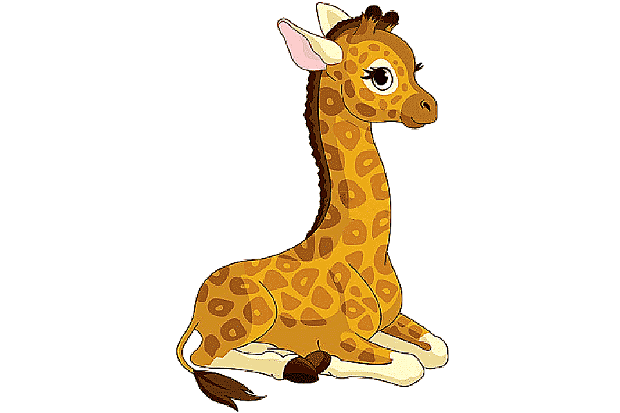 png clipart giraffe cartoon drawing animated giraffe s mammal giraffe