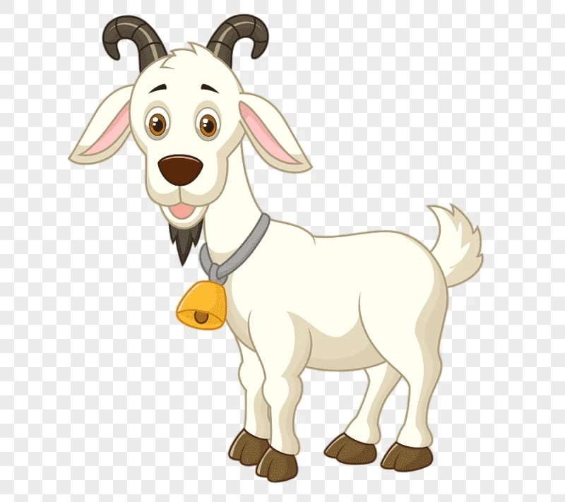 png clipart goat sheep drawing chicken animal paint mammal photography