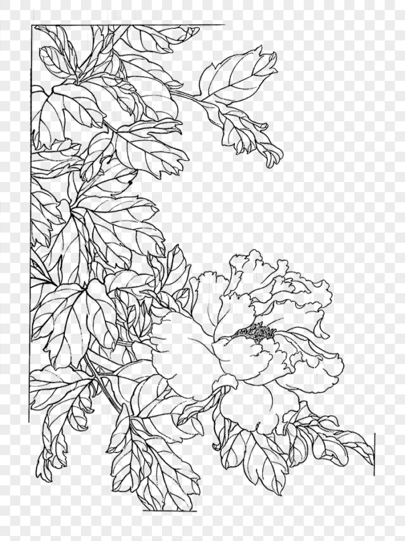 png clipart gongbi chinese painting flower sketch peony flower painted line drawing waterc