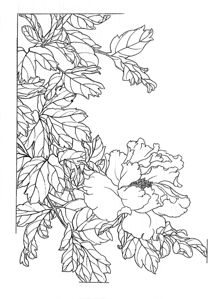 png clipart gongbi chinese painting flower sketch peony flower painted line drawing waterc