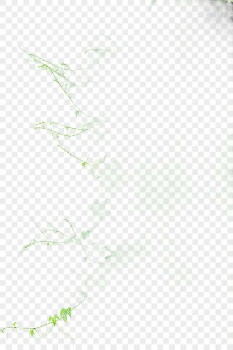 png clipart green leafed plant vine tree branch creeper leaf branch