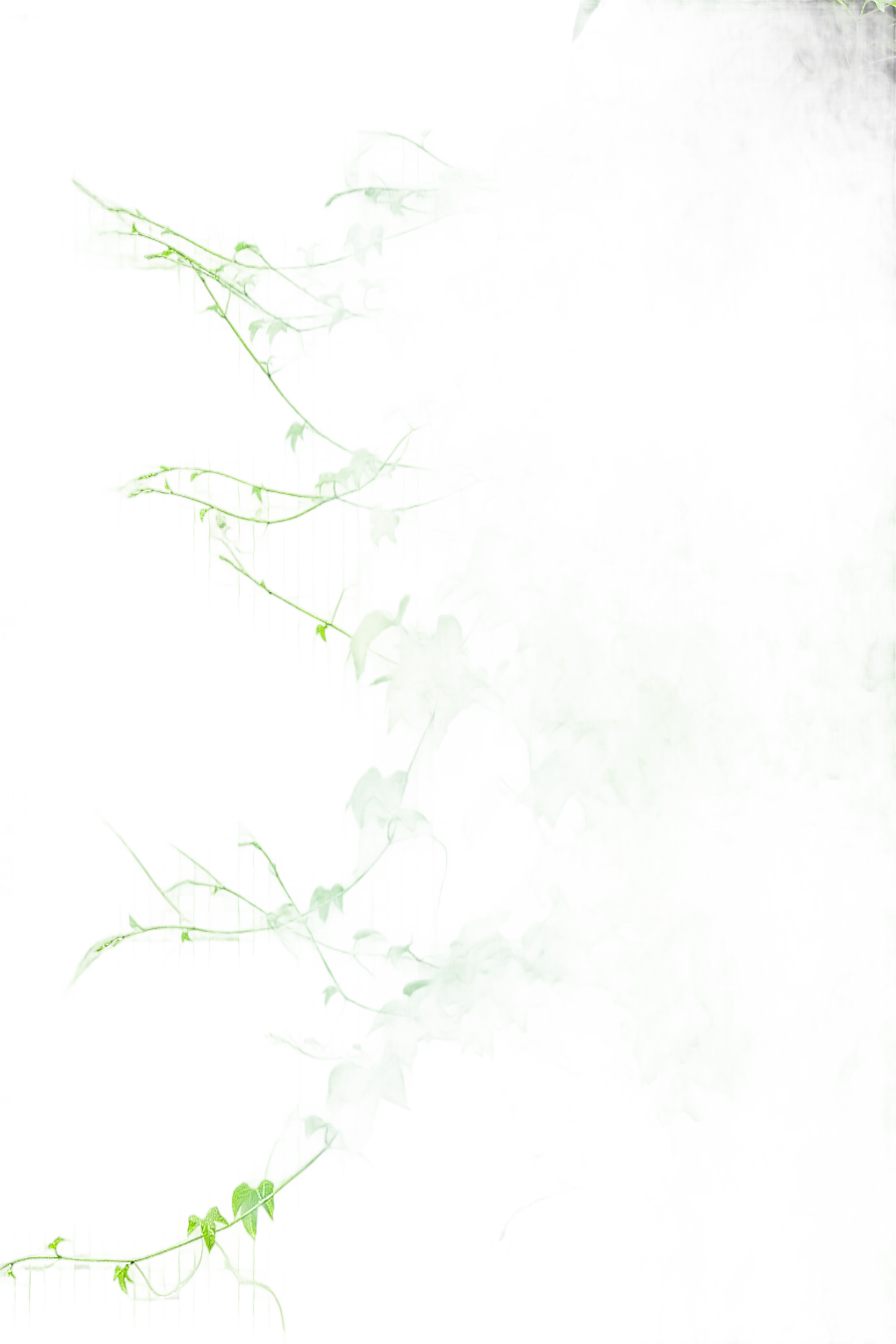 png clipart green leafed plant vine tree branch creeper leaf branch