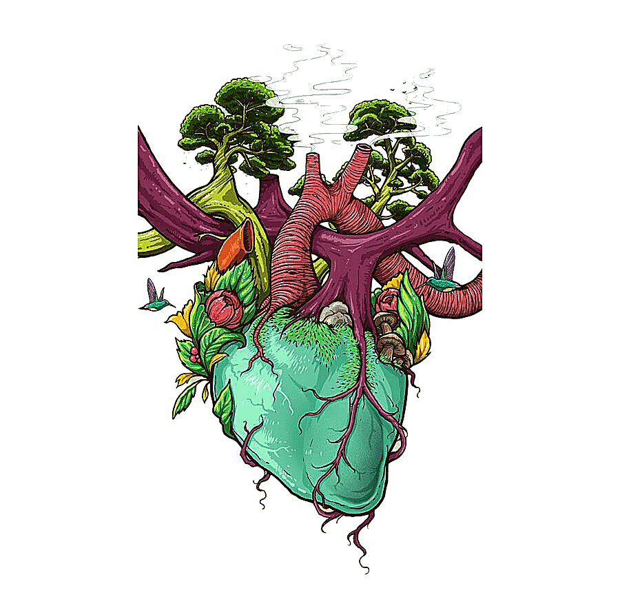 png clipart green leafed tree iphone 6 sony xperia z3 samsung galaxy grand prime human ana