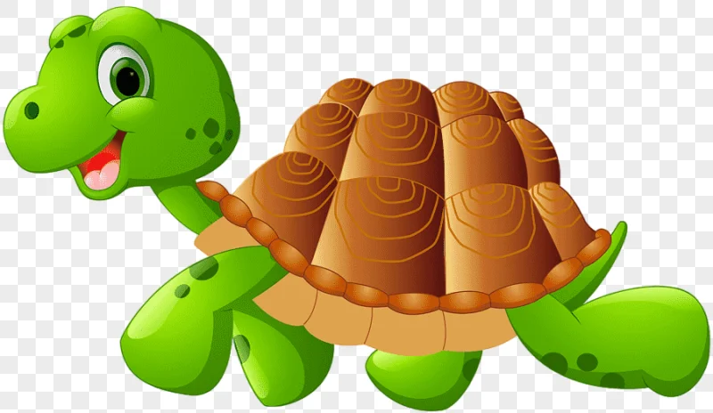 png clipart green sea turtle cartoon reptile turtle cartoon child photography