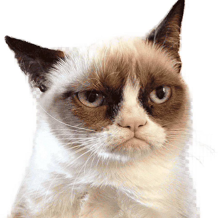 png clipart grumpy cat snowshoe cat aegean cat ragamuffin cat felidae kucing cat like mamm
