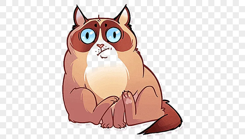 png clipart grumpy cat stickers telegram pusheen cat mammal animals
