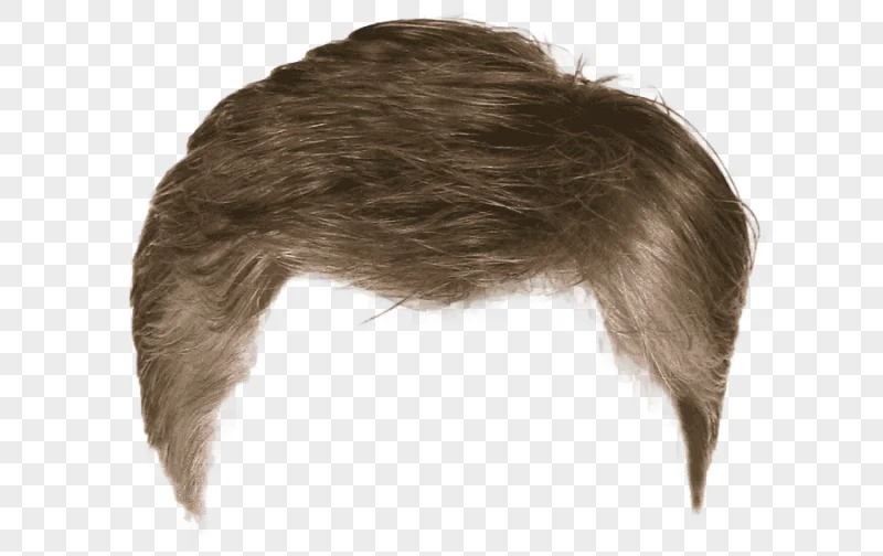 png clipart hairstyle beard wig hair people hair
