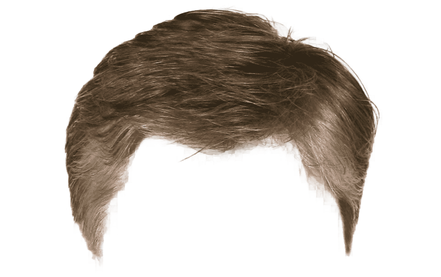 png clipart hairstyle beard wig hair people hair