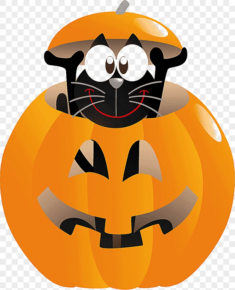 png clipart halloween cat pumpkin pumpkin halloween costume photography