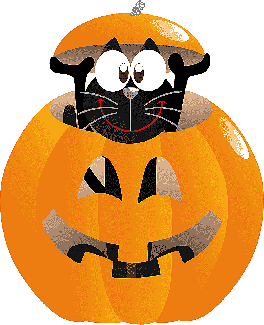 png clipart halloween cat pumpkin pumpkin halloween costume photography