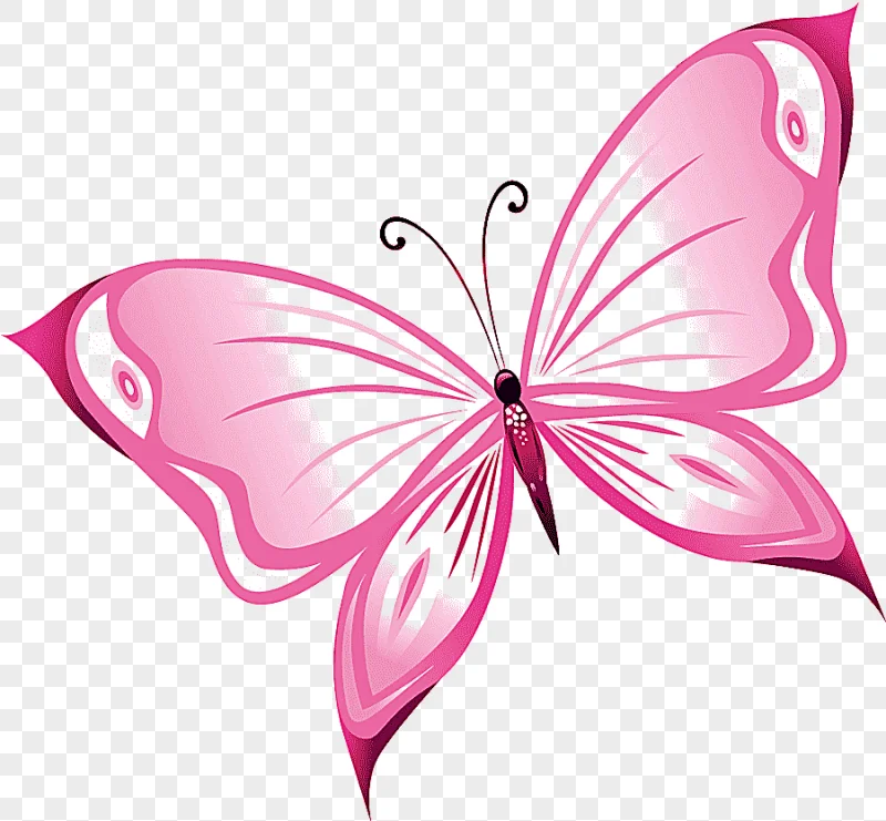 png clipart hand painted pink butterfly hand beautiful