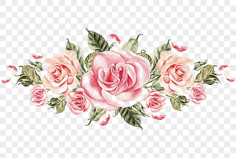 png clipart hand painted pink roses cluster hand painted watercolor