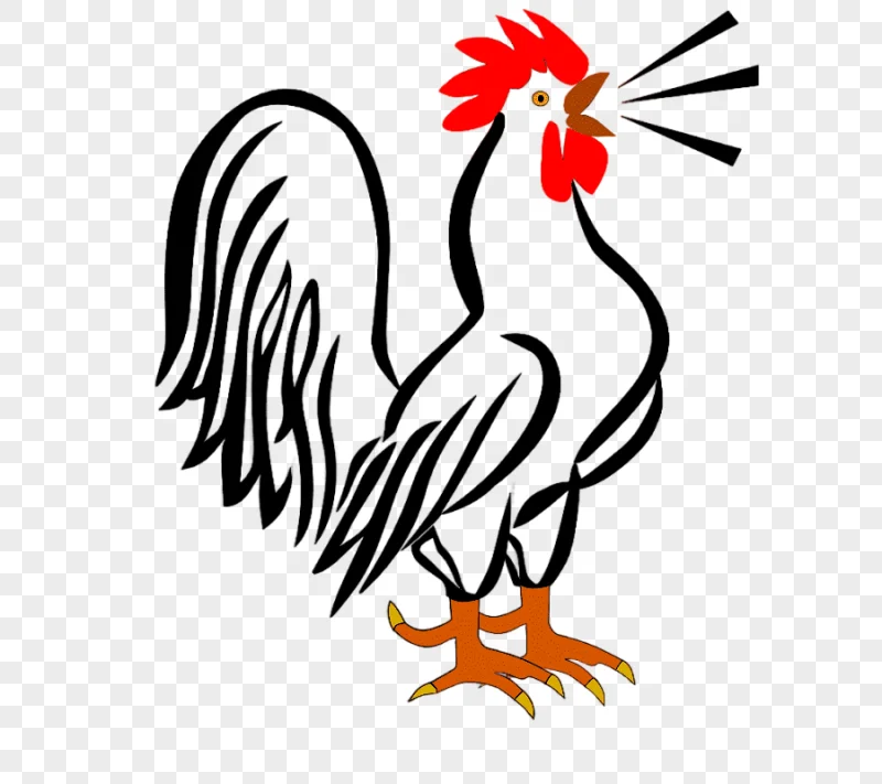 png clipart houdan chicken leghorn chicken hamburg chicken cochin chicken rooster rooster