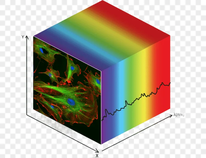 png clipart hyperspectral imaging data cube n etc market analysis multispectral multispect